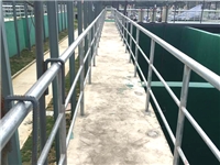 案例展示